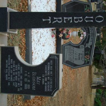 J - Vanne :: Surnames - J