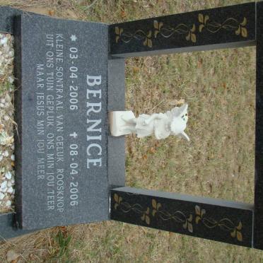 NEL Bernice 2006-2006