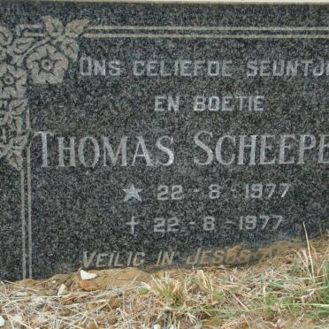 SCHEEPERS Thomas 1977-1977