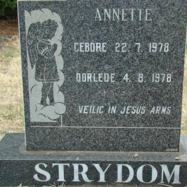 STRYDOM Annette 1978-1978