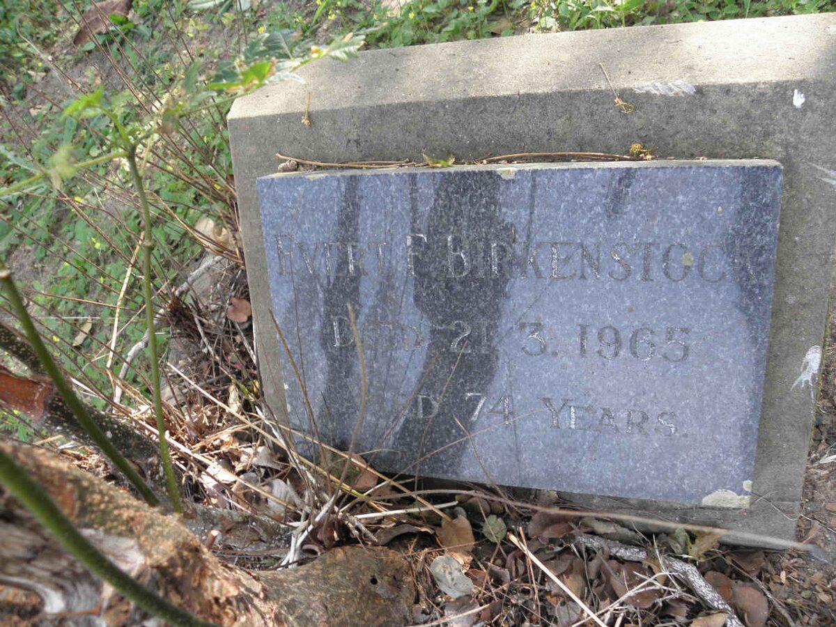 BIRKENSTOCK Evert F. -1965