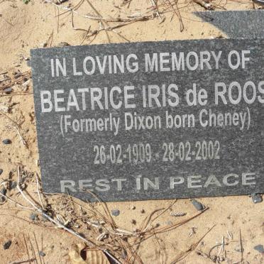 ROOS Beatrice Iris, de formerly DIXON nee CHENEY 1909-2002