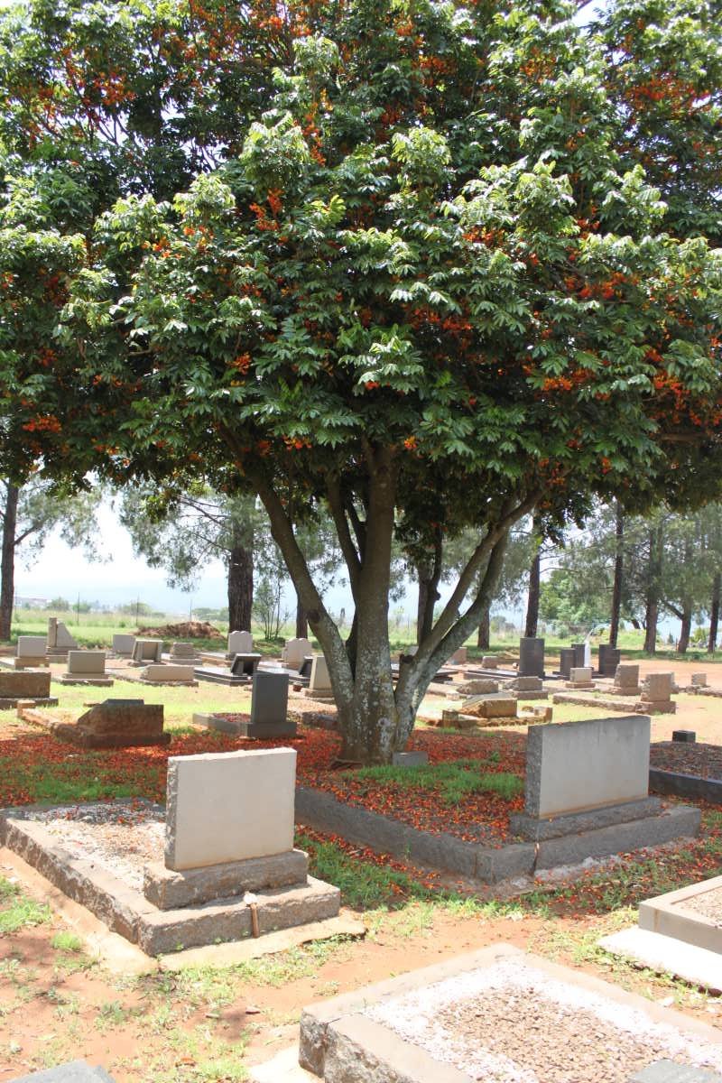 04. Overview / Oorsig