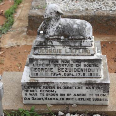 BEZUIDENHOUT Georgie 1954-1956