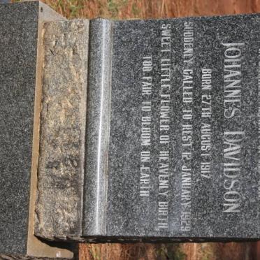 DAVIDSON Johannes 1917-1929