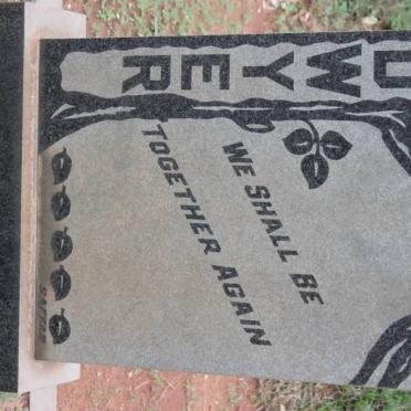 Dw - Surnames starting with the letters Dw