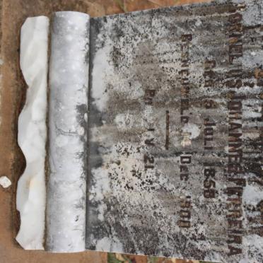 FERREIRA Cornelius Johannes 1858-1900