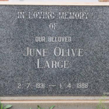LARGE June Olive 1931-1988