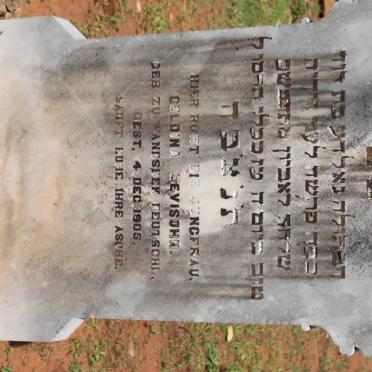 LEVISOHN Goldina -1905