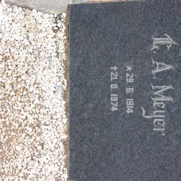 MEYER G.A. 1914-1974