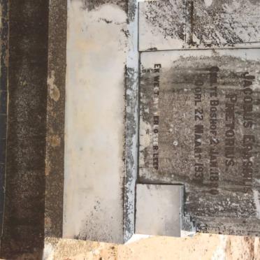 PRETORIUS Jacobus Erasmus 1880-1937