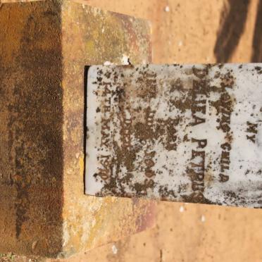 PETRUS Deliea 1909-1910