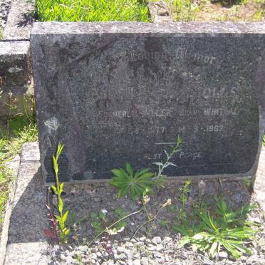 REYNOLDS Amy Eleanor formerly MILLER nee WHITTAL 1877-1962