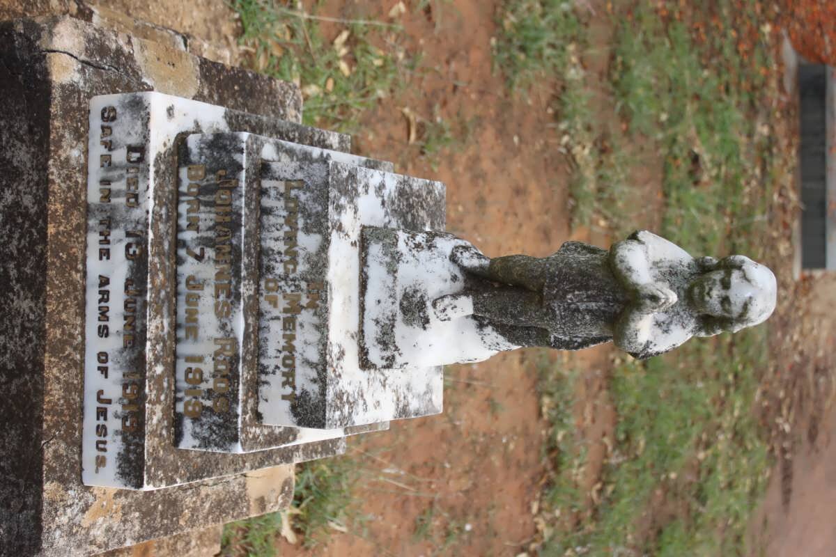 ROOS Johannes 1919-1919