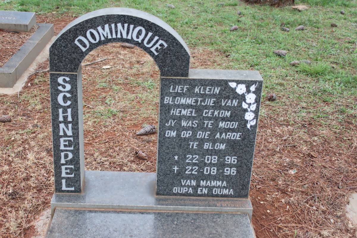 SCHNEPEL Dominique 1996-1996