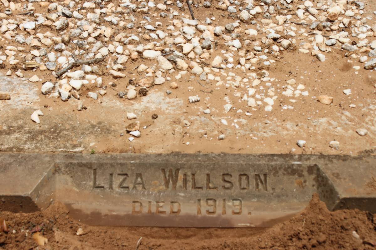 WILLSON Liza  -1919