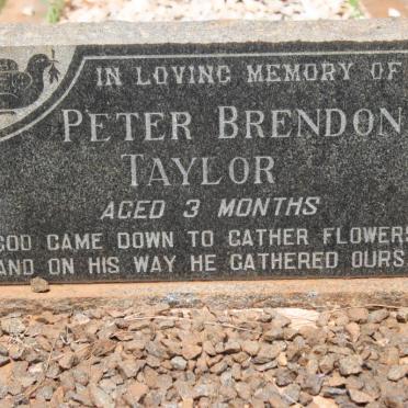 TAYLOR Peter Brendon