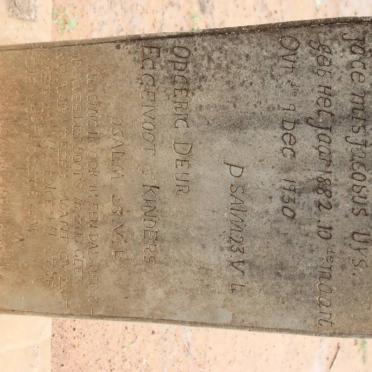 UYS Jocemis Jacobus 1882-1930