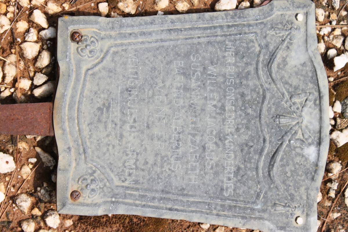 VENTER Willem Jacobus 1914-1921 :: VENTER Susanna Elizabeth Cornelia 1928-1936