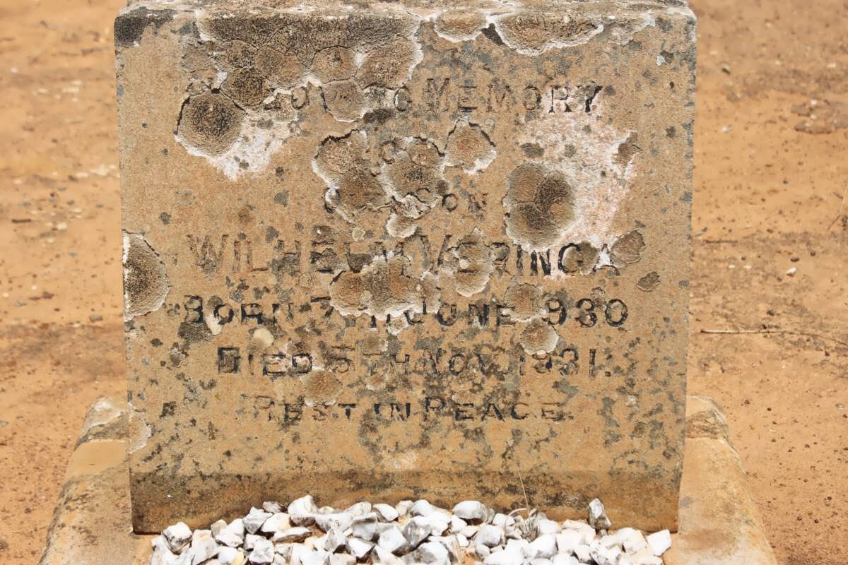 VERINGA Wilhelm 1930-1931