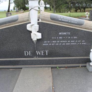 WET Antoinette, de 1952-1983