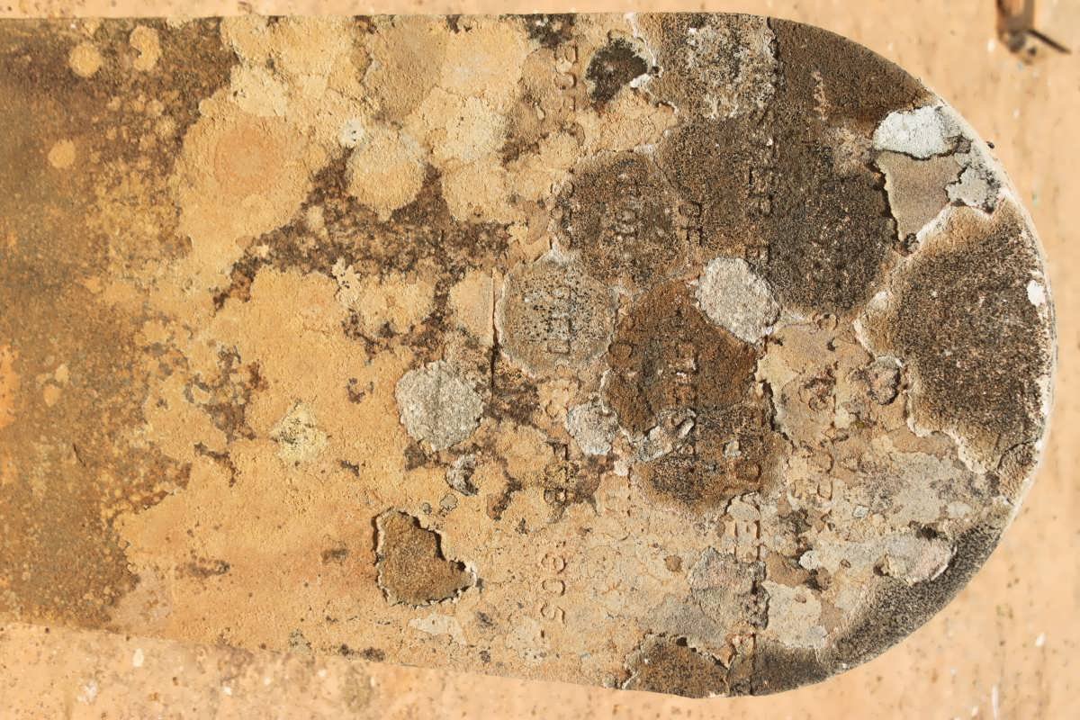 ? Hester E. 1852-1905