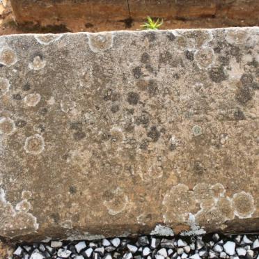 WESSELS Wynand J. 1886-1941