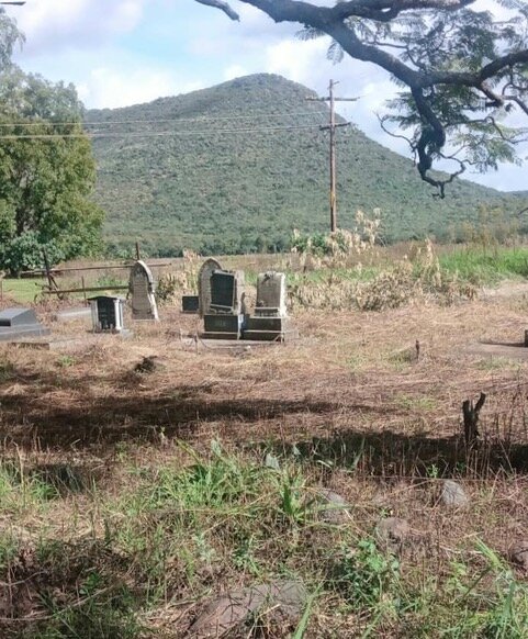 1. Oorsig / Overview