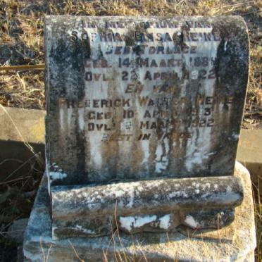 HEINE Sophia Elisa nee TORLAGE 1889-1922 :: HEINE Frederick Walter 1913-1922