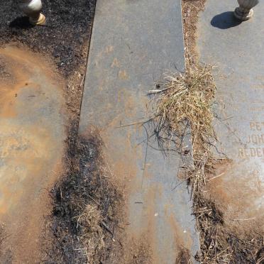 BERG Petrus Johannes Redelinghuys, van den 1921-1986 & Sara Johanna Magdalena 1922-2011 _1