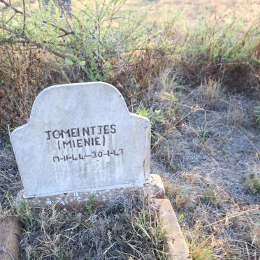 MEINTJES J.C. 1944-1947