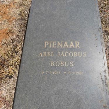 PIENAAR Abel Jacobus 1953-1987