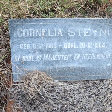STEYN Cornelia 1964-1964