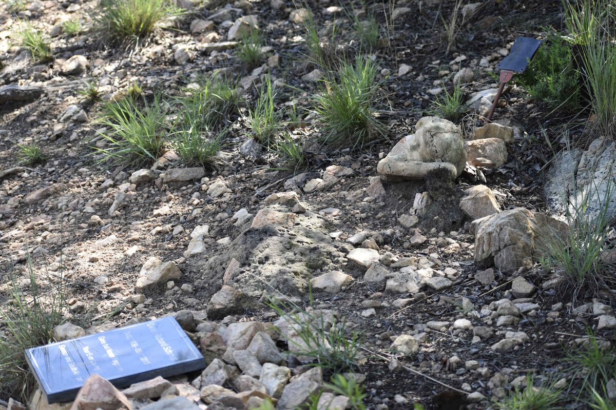 5. Overview / Oorsig