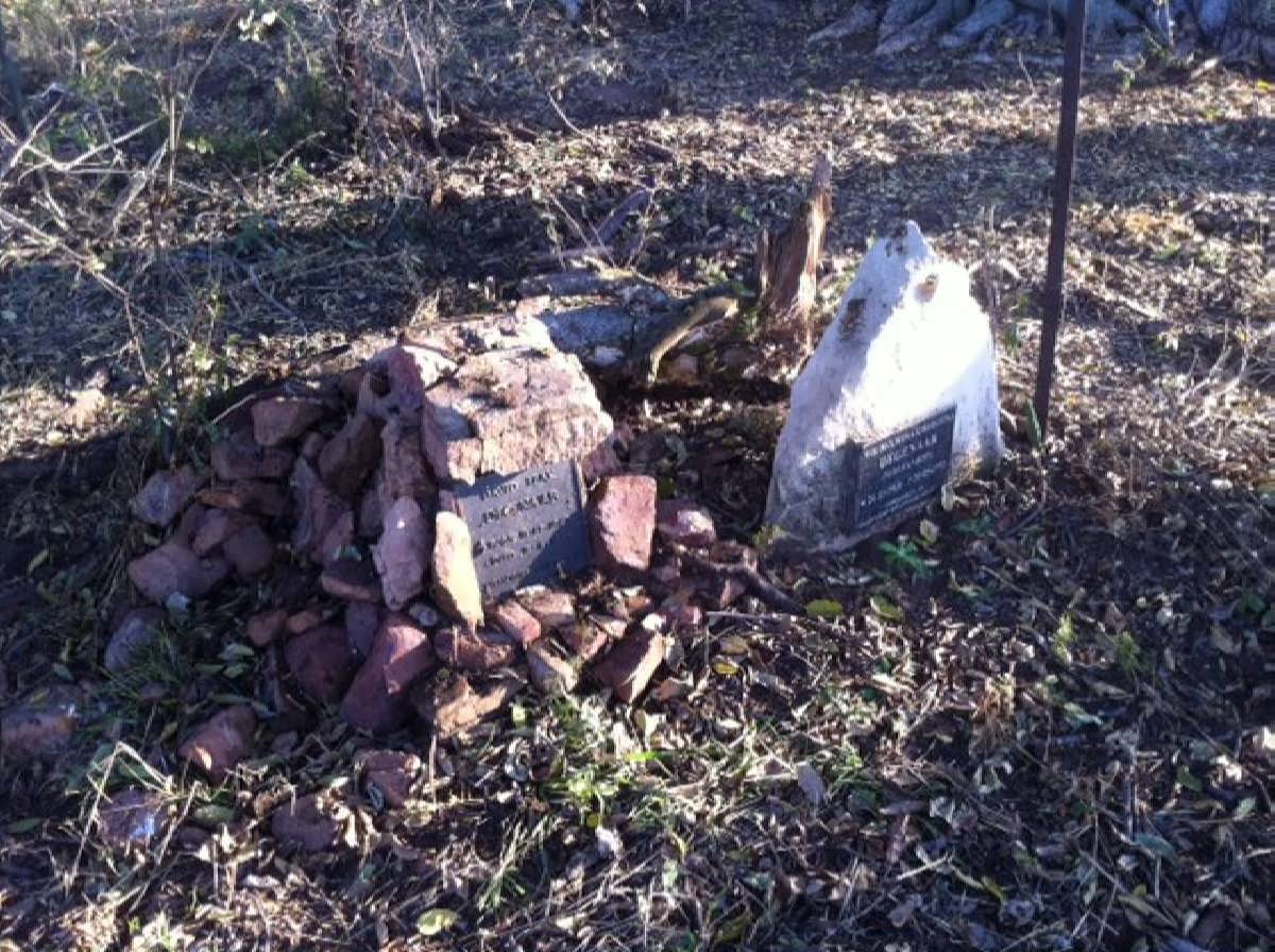 2. Overview / Oorsig