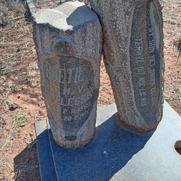 PLESSIS M.H.V., du 1960-1971