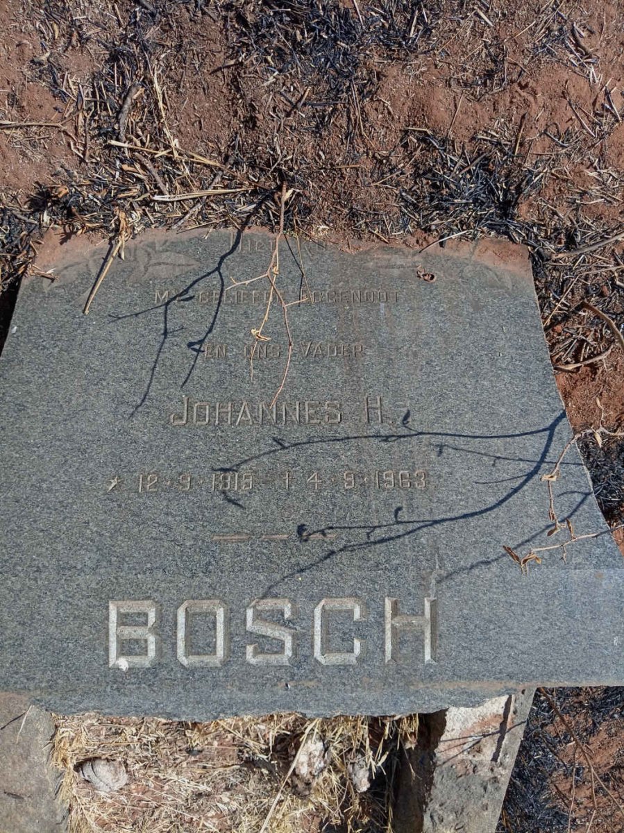 BOSCH Johannes H. 1919-1963