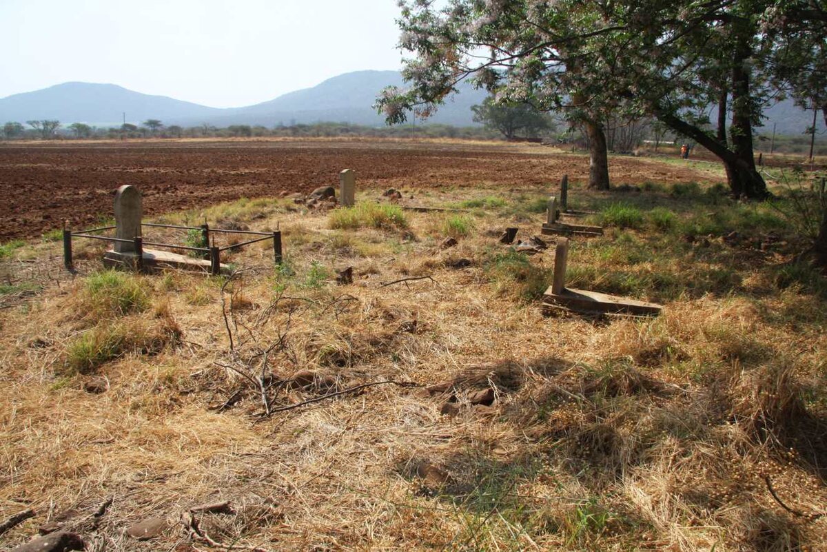 1. Oorsig / Overview