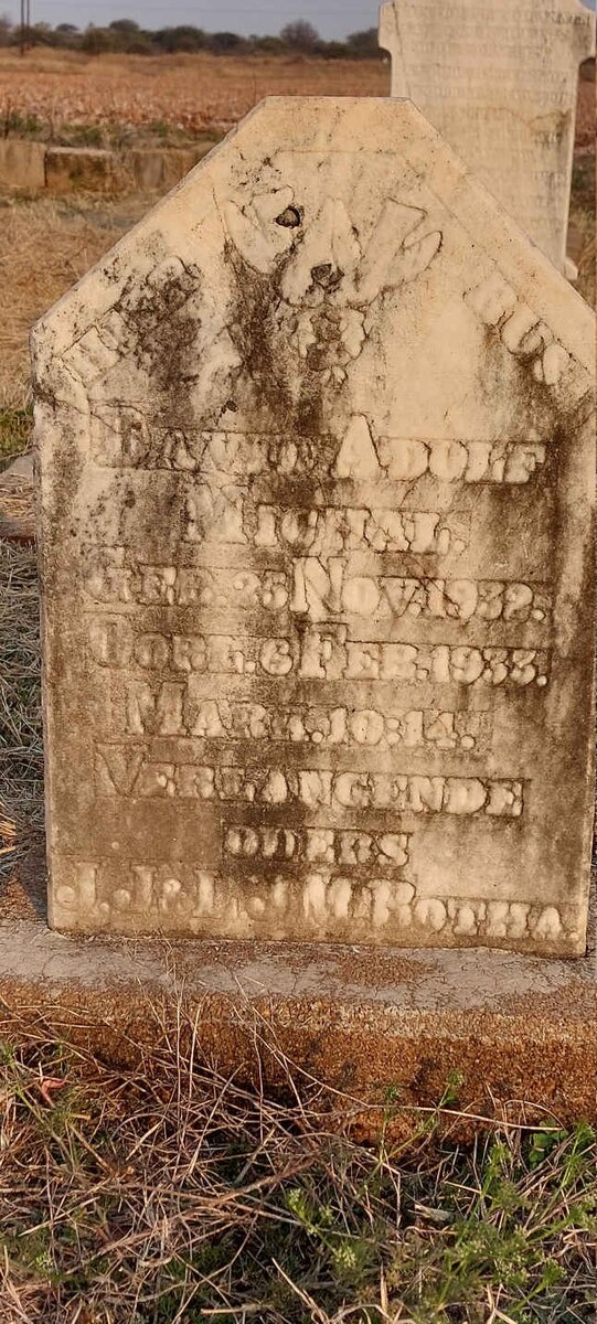 BOTHA David Adolf Michal 1932-1933