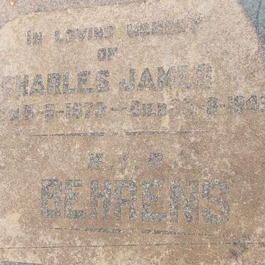 Limpopo, ELIAS MOTSOALEDI district, Marble Hall, Loskop Noord 12, farm cemetery