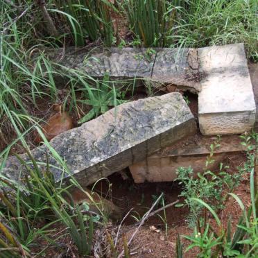 BOTHA Cecilia Maria 1877-1896