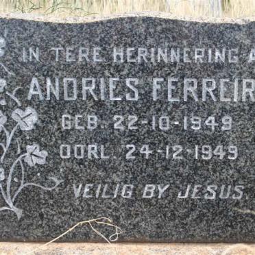 Limpopo, ELIAS MOTSOALEDI district, Groblersdal, Mosesriviersmond 27 JS, farm cemetery