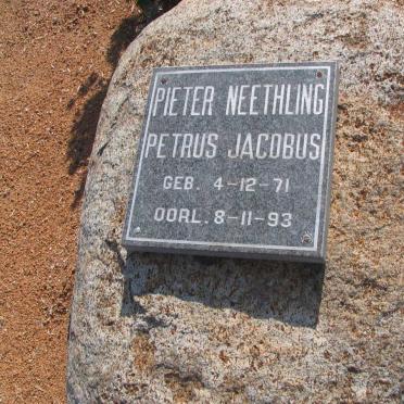 NEETHLING Petrus Jacobus 1971-1993 [71-93]