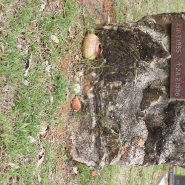 WIGGILL Vigdis Helene nee SAETHER 1955-1998