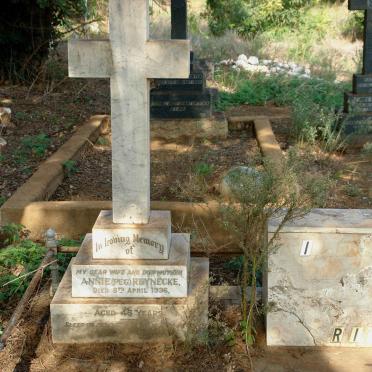 Limpopo, LEYDSDORP, Urban area