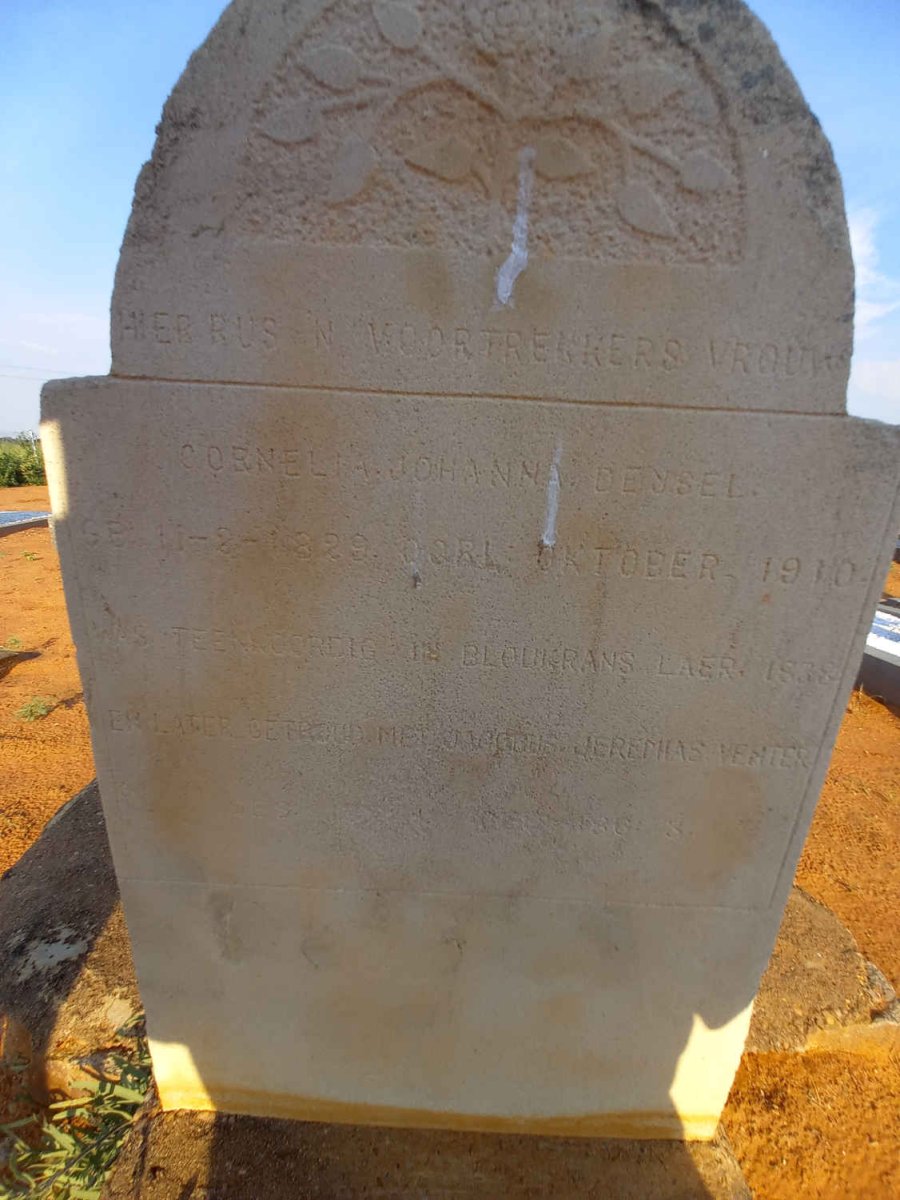 DEYSEL Cornelia Johanna 1829-1910