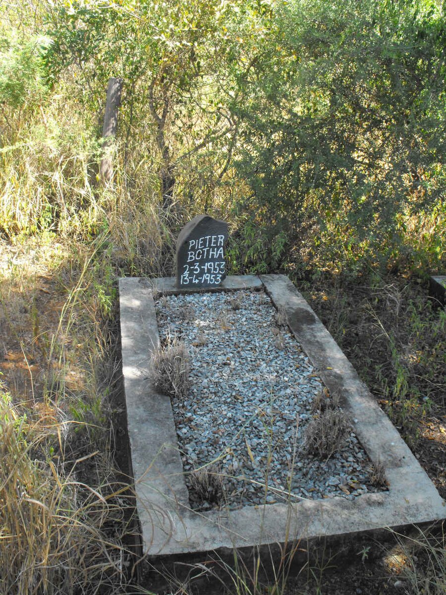 BOTHA Pieter 1953-1953