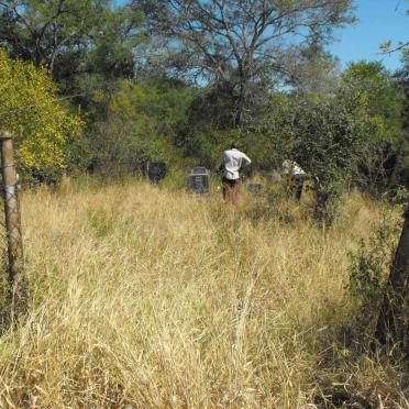 1. Oorsig / Overview