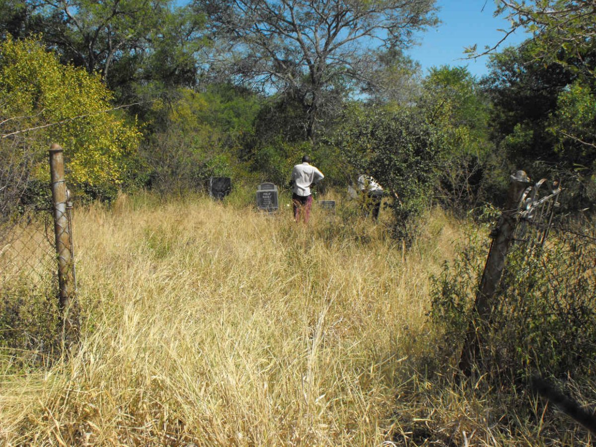 1. Oorsig / Overview