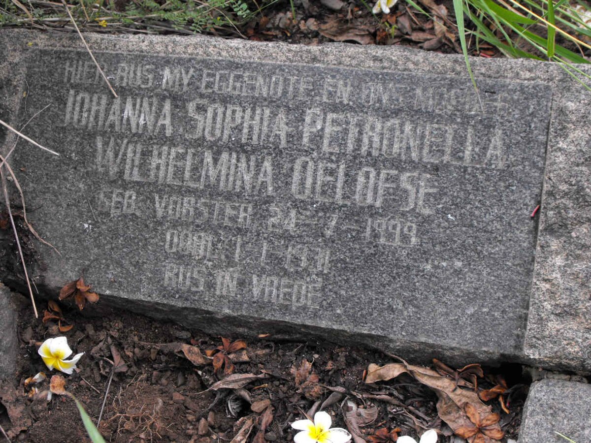 OELOFSE Johanna Sophia Petronella Wilhelmina nee VORSTER 1899-1931